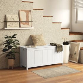 Storage Cabinet (Swiship-Ship)/Prohibited by WalMart.